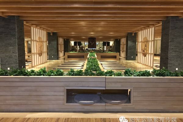 成都崇州河边品茗，休闲养生两不误(崇州滨河路喝茶的地方)